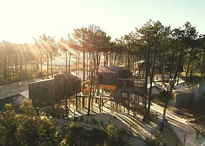Bukubaki Eco Surf
