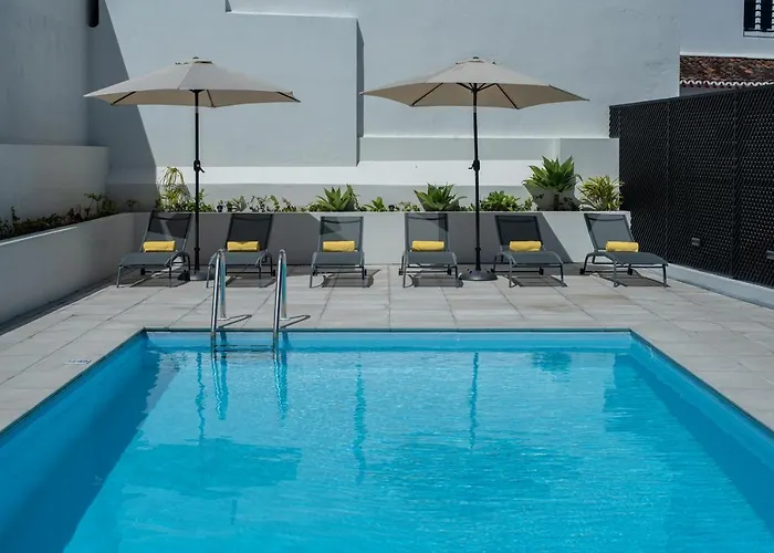 Olive Boutique Guesthouse