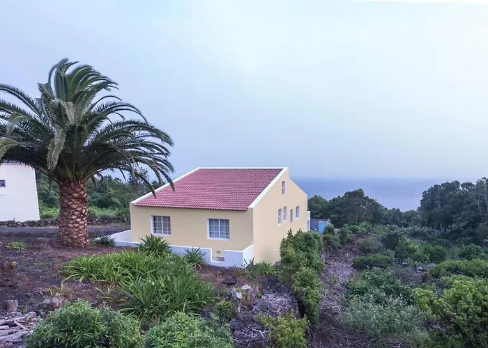 Palm Tree House