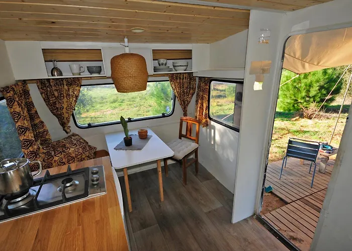 Monte Dos Vagabundos - Animal Sanctuary - Caravan Nest