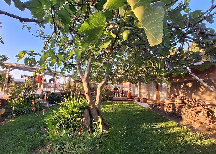 Pilgrims Rest - Vila Nova De Cerveira - Hostel - Albergue - Al
