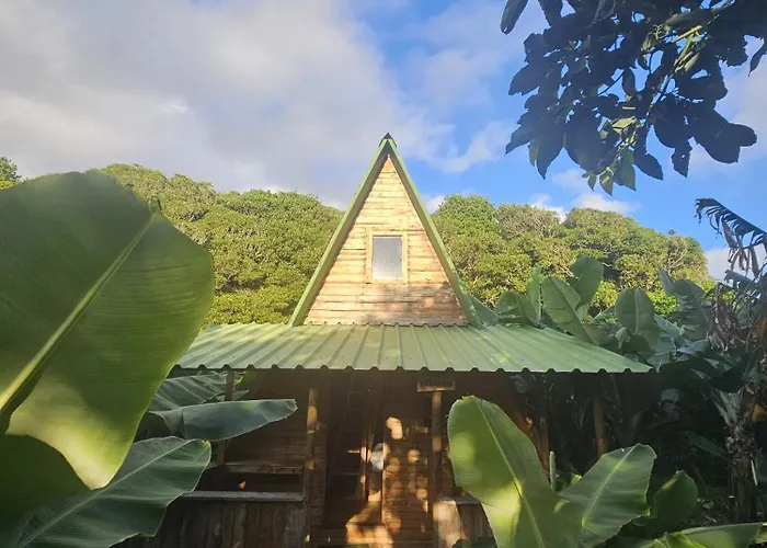 Banana Eco Camp