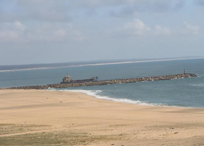 Mirasol 10