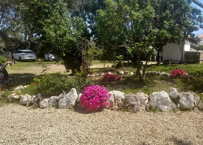 Nature Houses