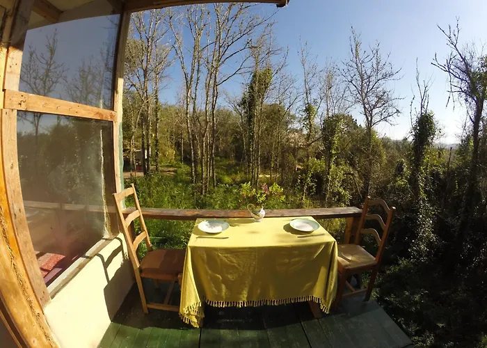 Hidden Forest Retreat