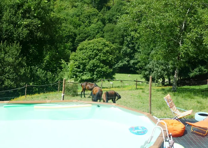 Agrofarm With Animals - Qta Entre Sebes