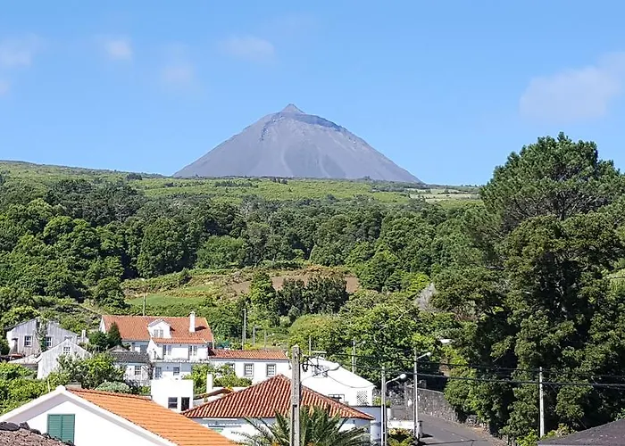 Casavo