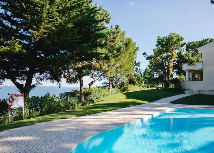 Loving Troia