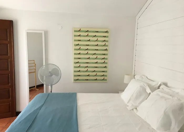 A Casa Da Arvore