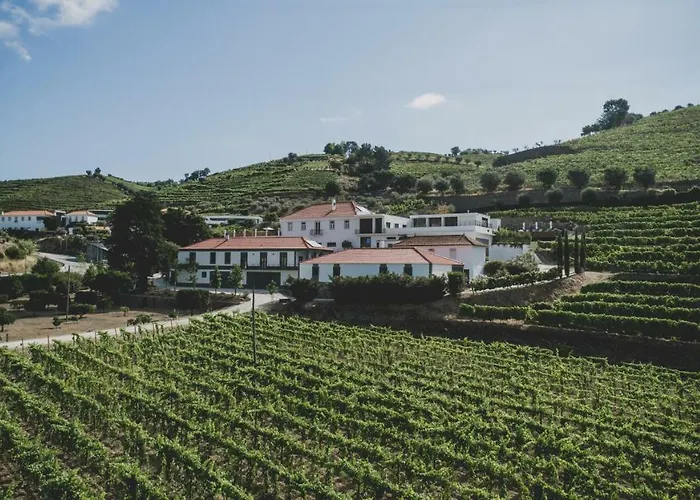 Casal Dos Capelinhos - Douro