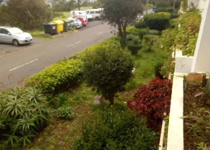 Sunny Flat In Machico City
