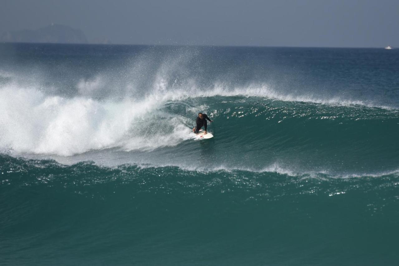 Shark's Baleal