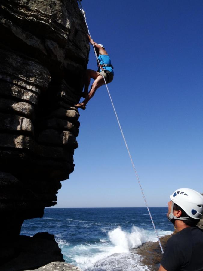 Shark's Baleal