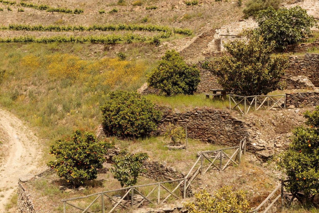 Quinta Nova Winery House - Relais & Chateaux 5*