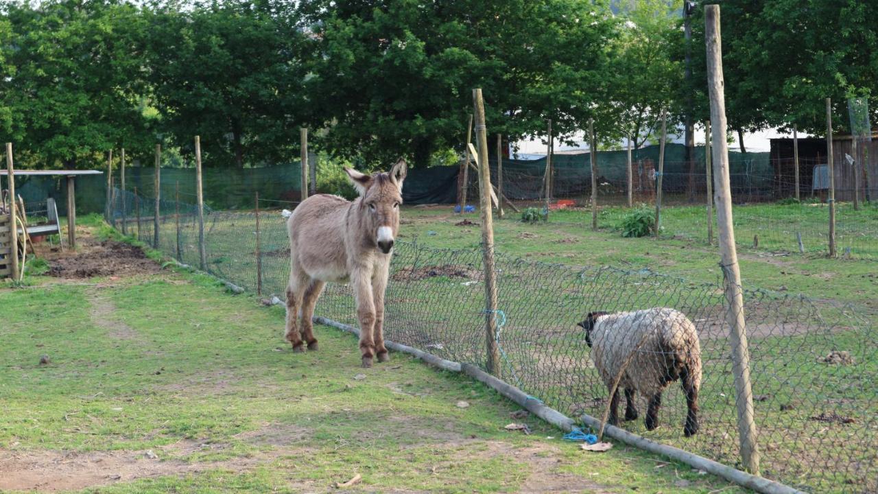 Quinta De Cima Country house