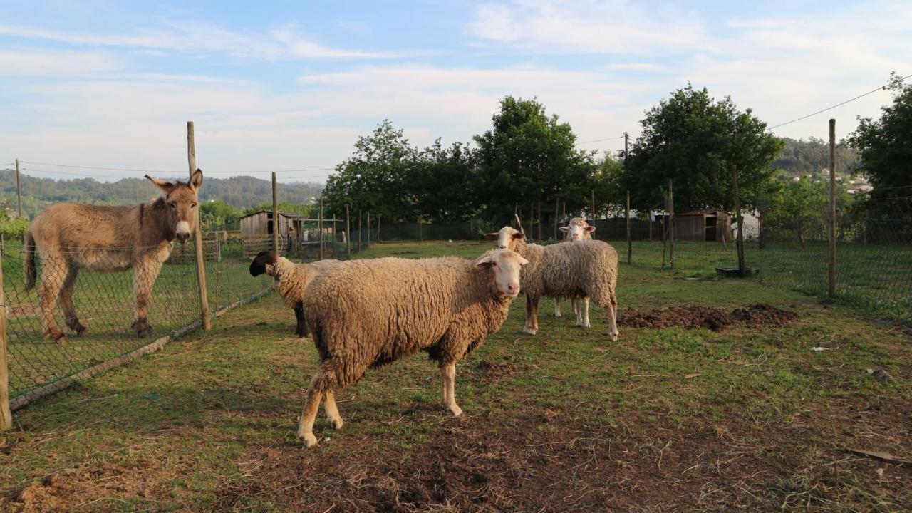Quinta De Cima Fafe