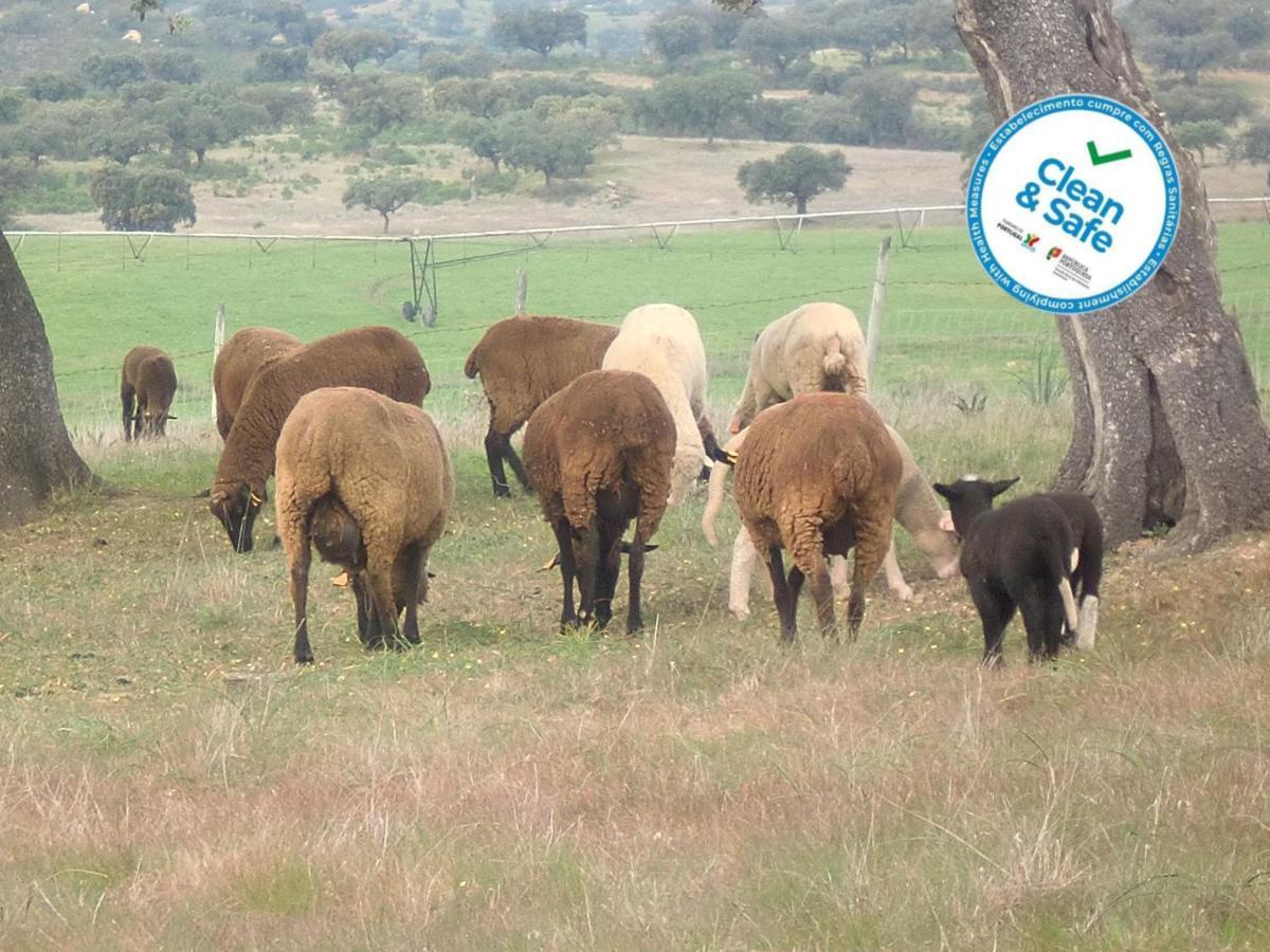 Horta Da Quinta Country house Mertola