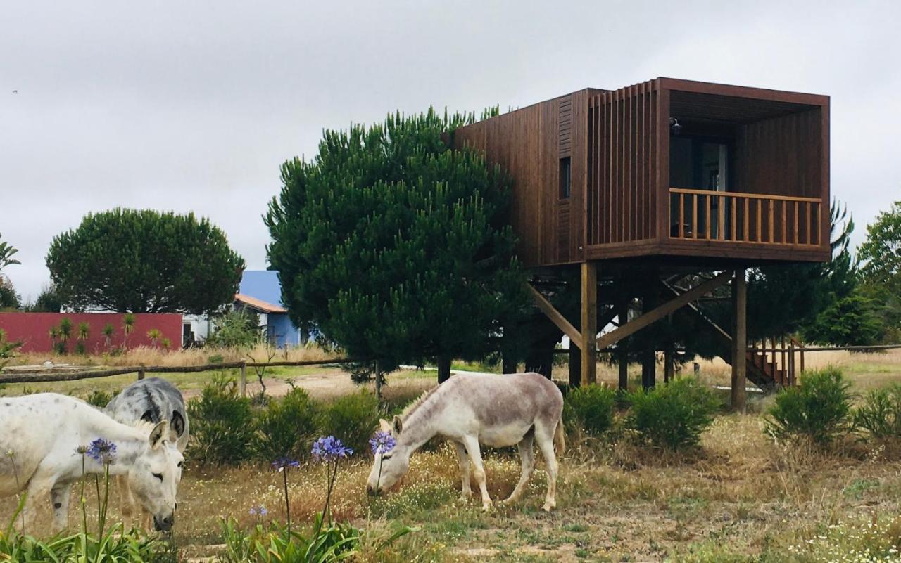 Guest house Tres Marias 3*