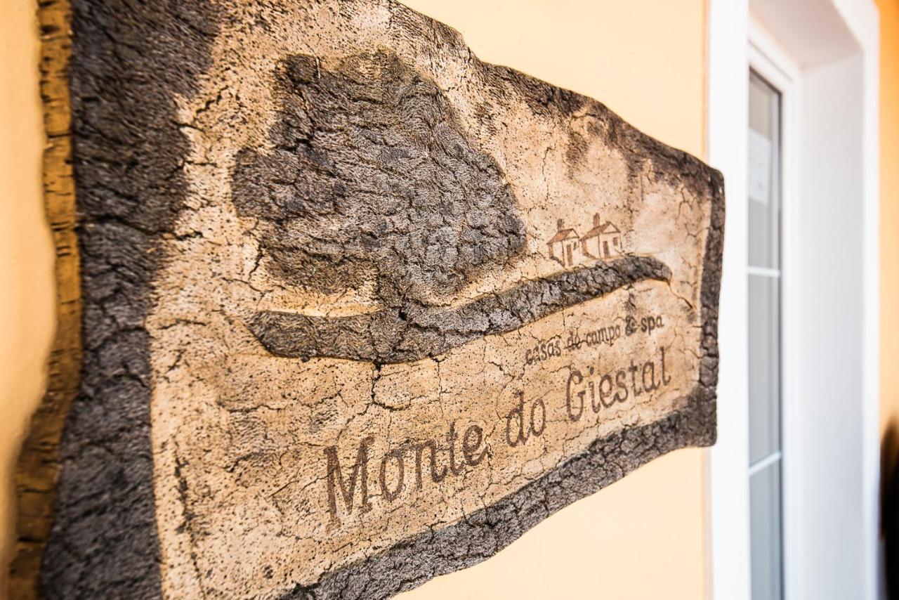 Villa Monte Do Giestal - &