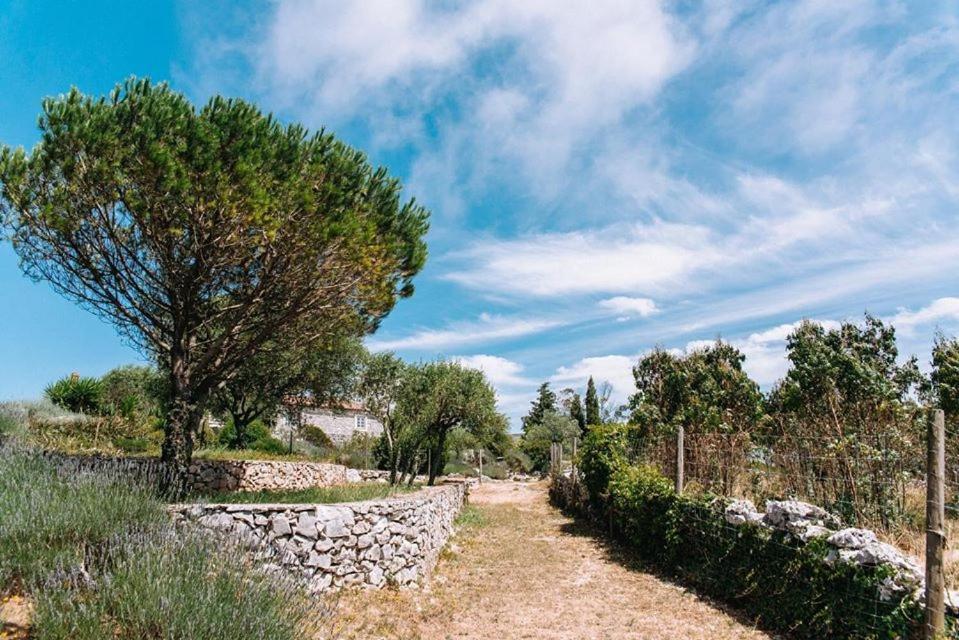 Casas De Pedra - Quinta Da Escola *
