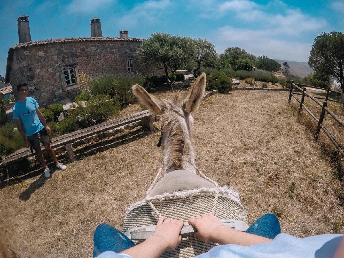 Casas De Pedra - Quinta Da Escola Farm stay
