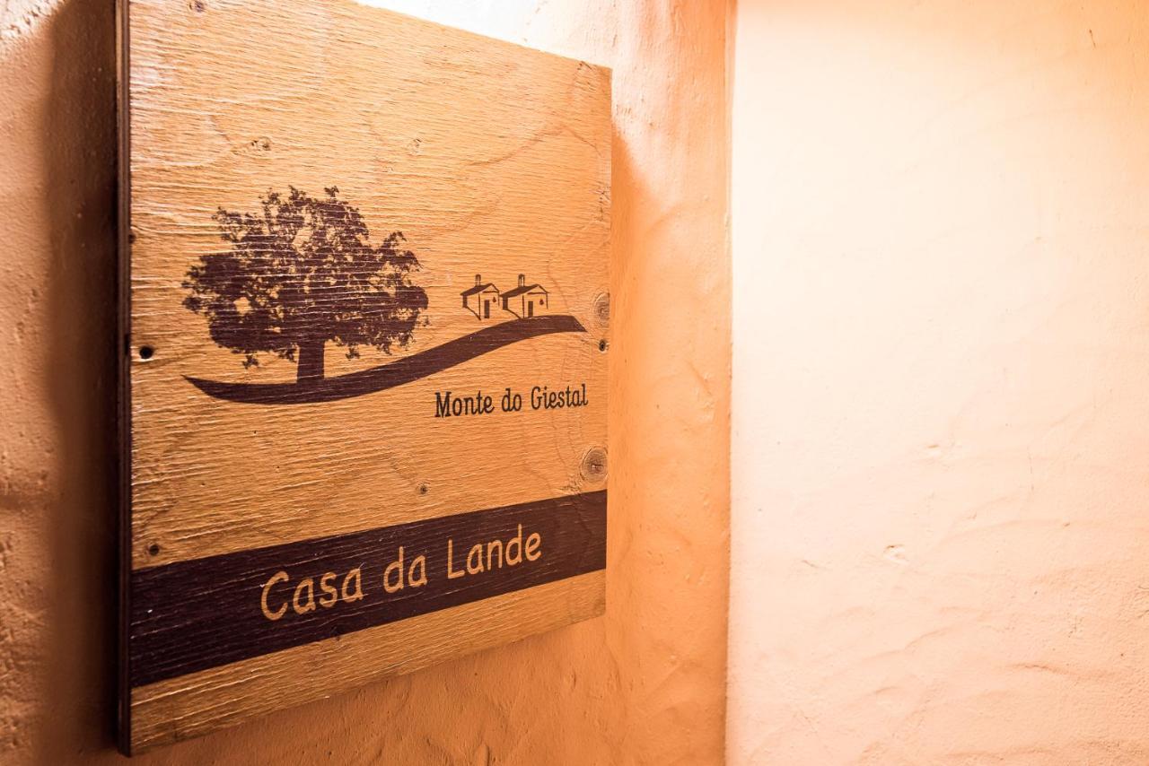 Monte Do Giestal - & * Abela
