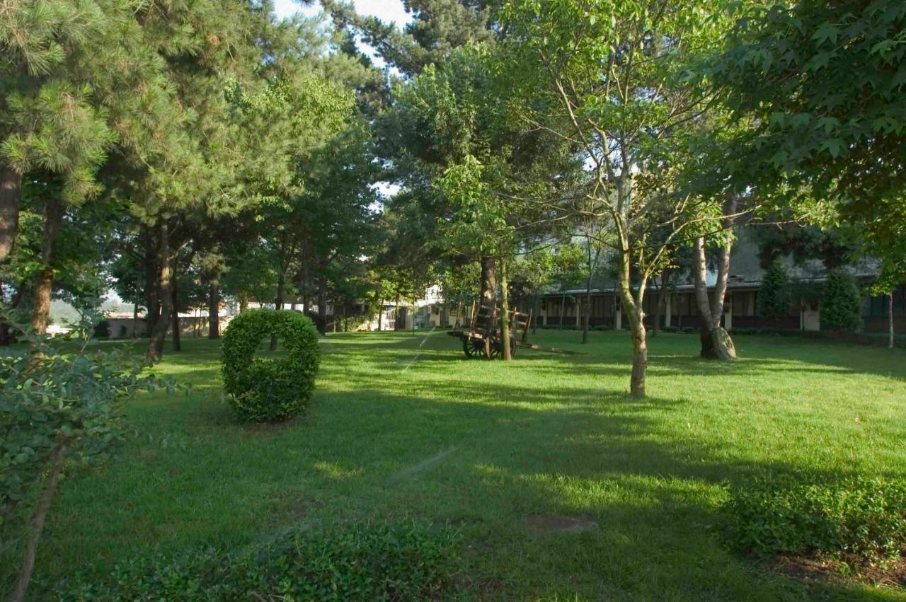 Paraiso Hotel 3*