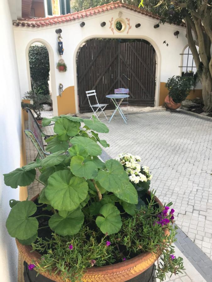 Guest house O Patio *