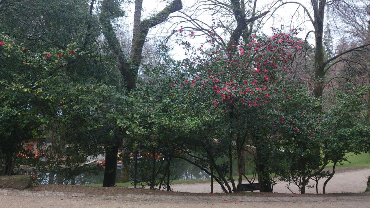 Do Parque Hotel 4*
