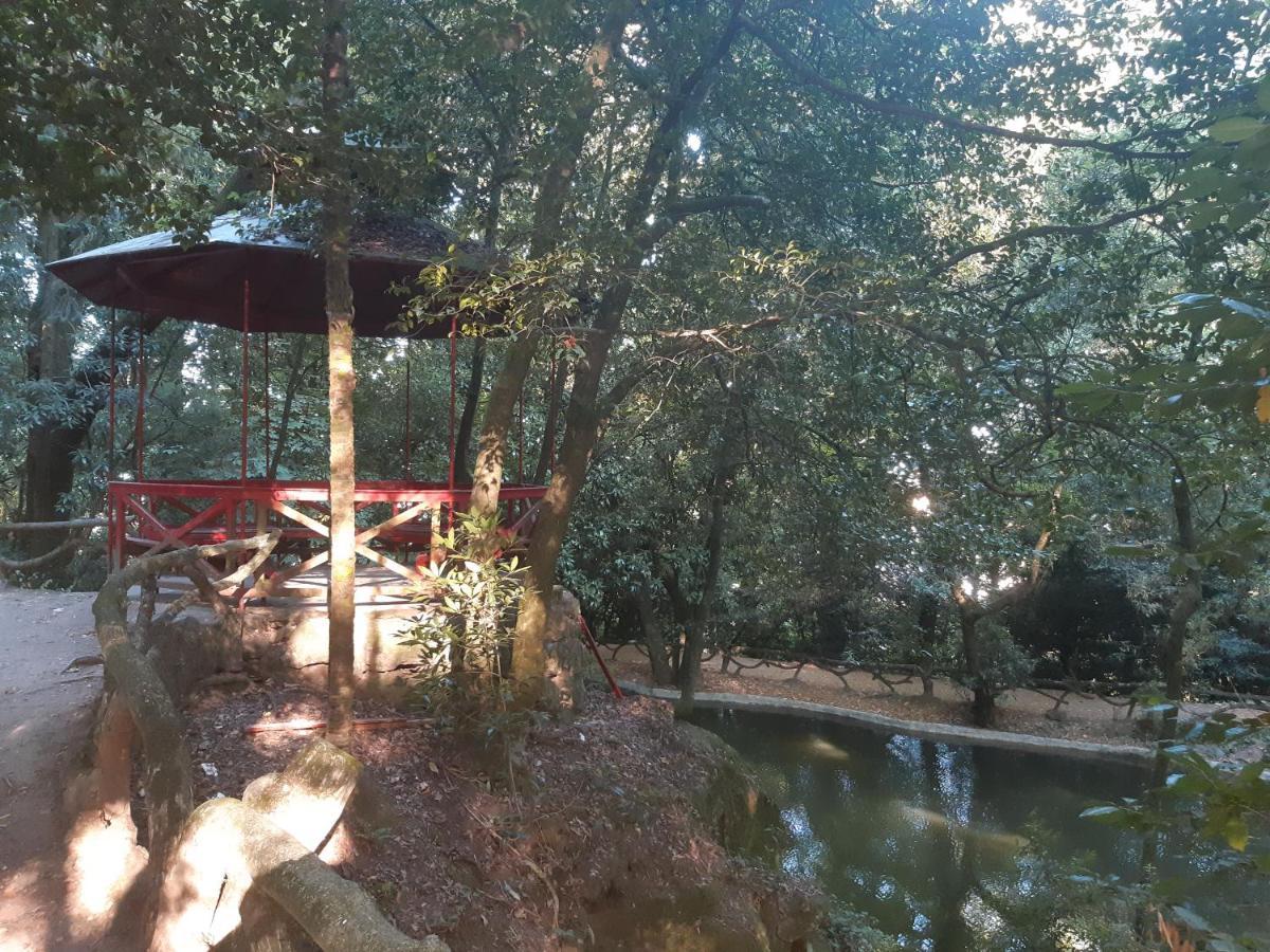 Hotel Do Parque Braga