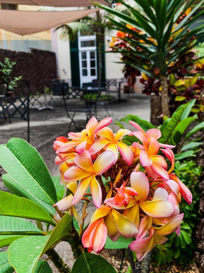Casa de hóspedes Aspa - Alegria Funchal (Madeira)