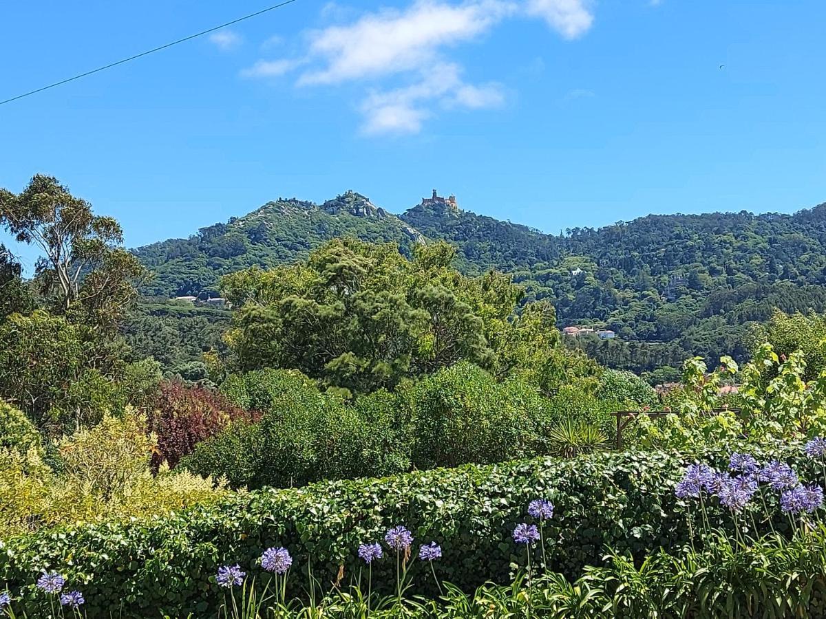 Santa Maria Casa Nostra Guest house Sintra