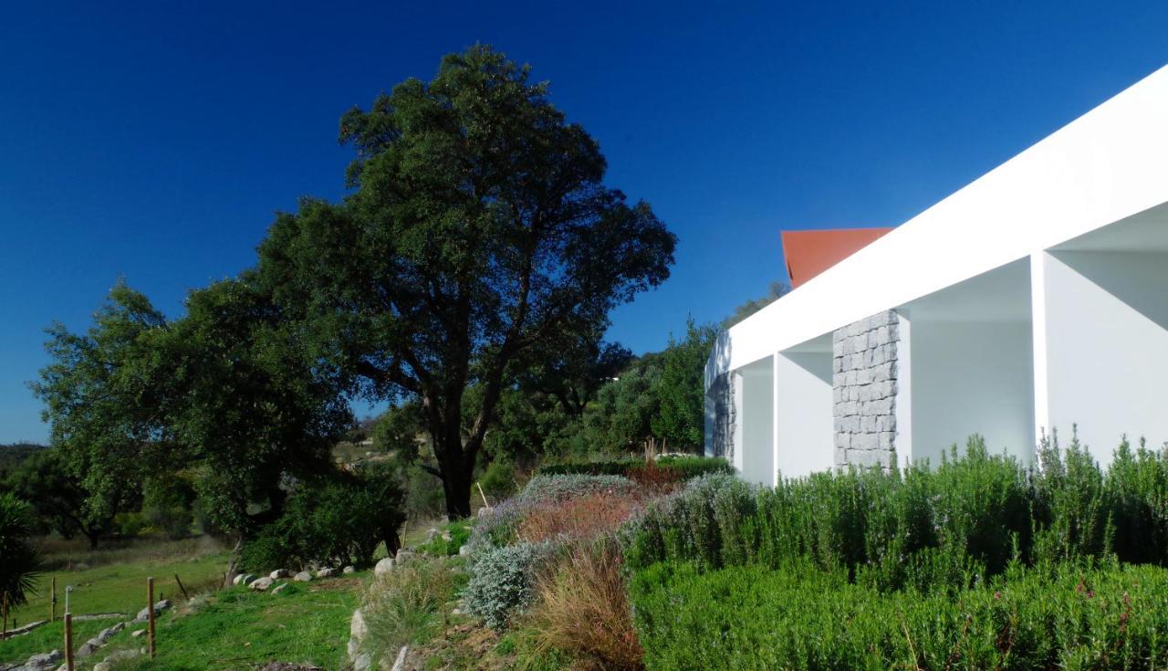 Vinha Do Gaio Farm stay