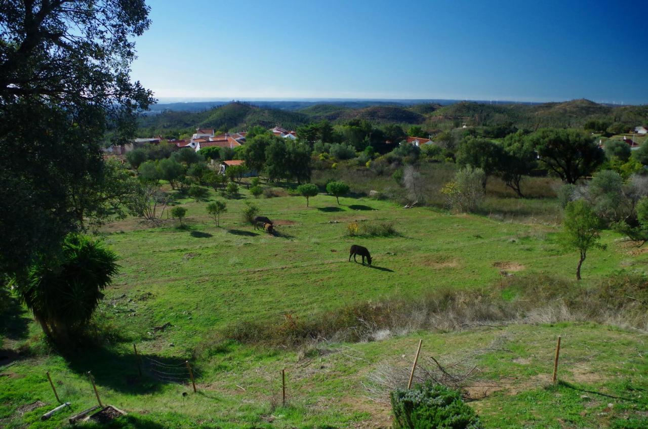 Vinha Do Gaio