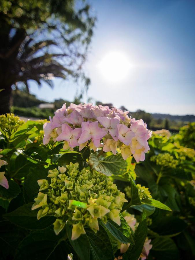 Quinta Pedra Firme * Sintra