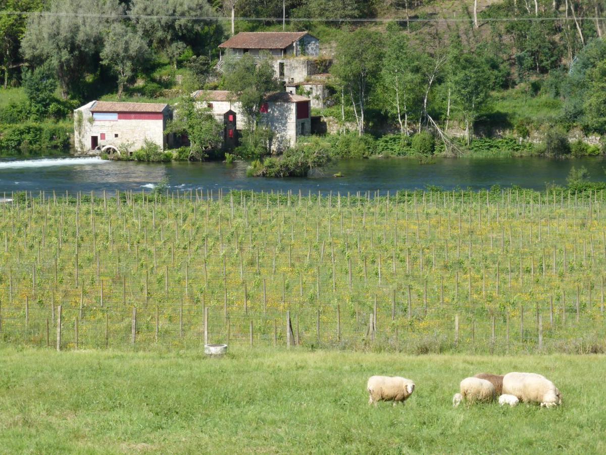 Quinta Do Burgo - Nature *