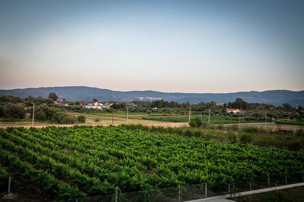 Quinta Oliveiras