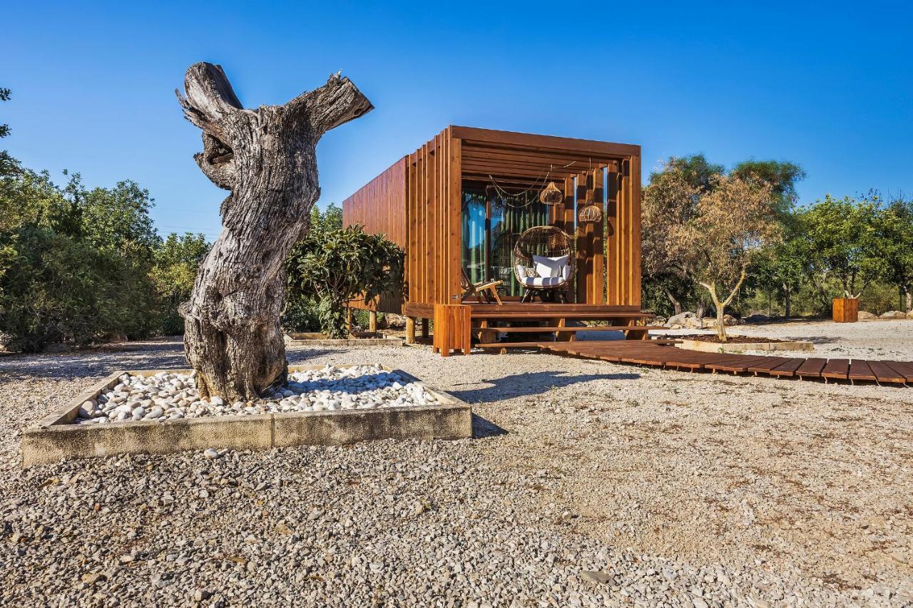 Quinta De Santa Margarida - Charm Country house