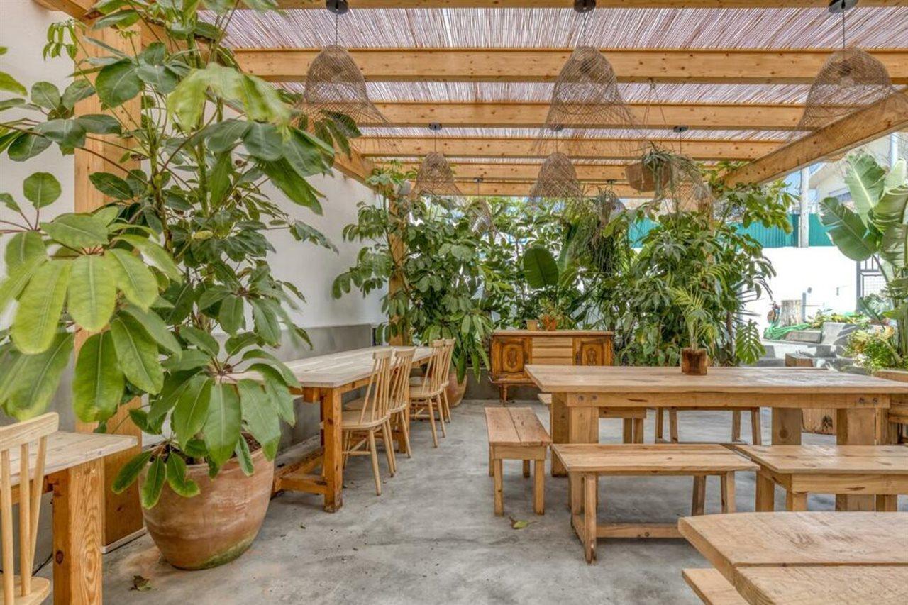 Selina Boavista Hostel Ericeira