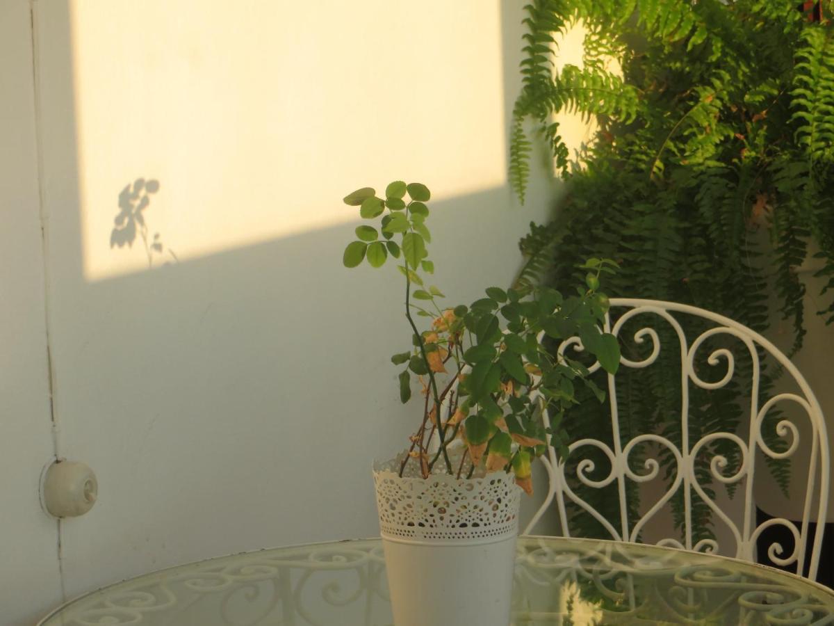 Apartment Caparica For Rent Costa da Caparica