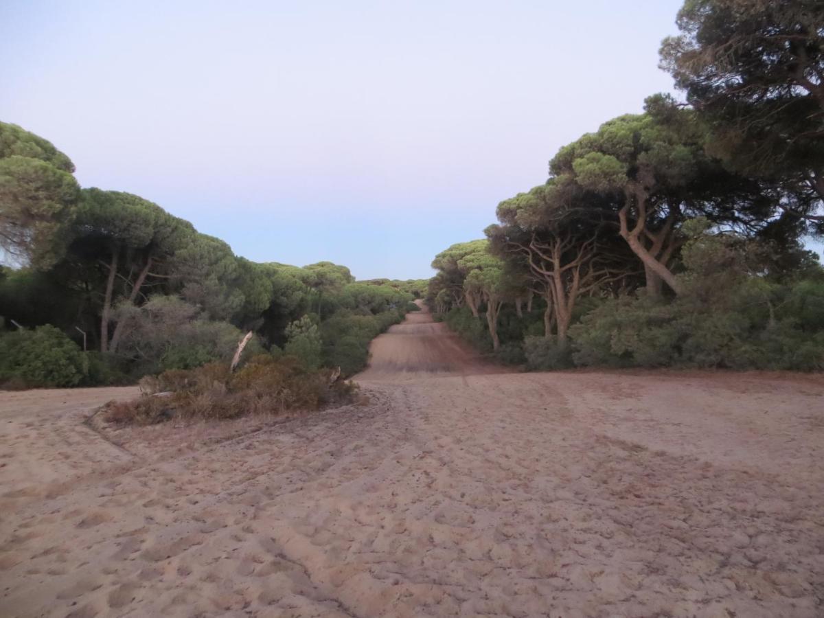 Appartement Caparica For Rent