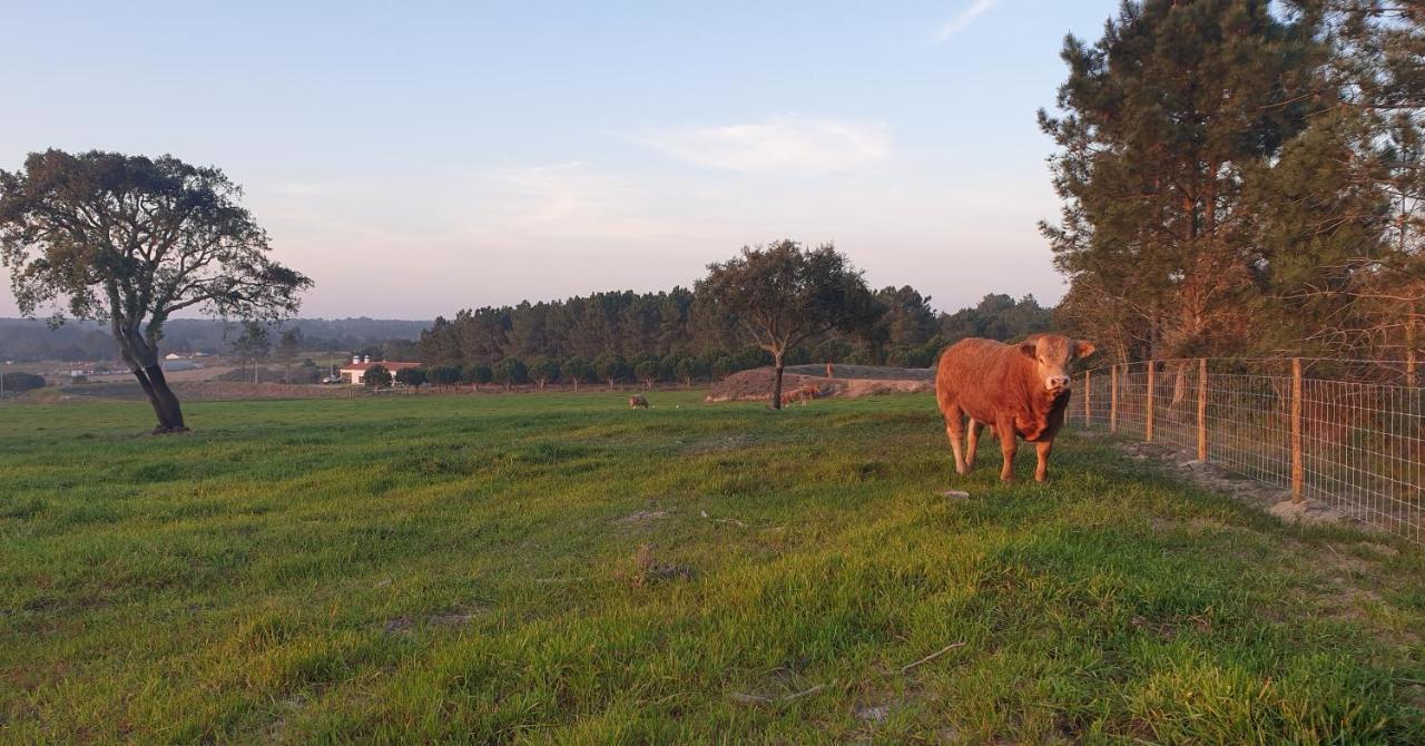 Monte Da Xara Сasa de vacaciones *