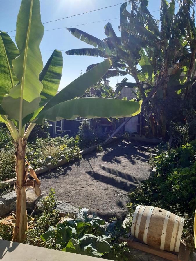 Louros House Holiday home Funchal (Madeira)