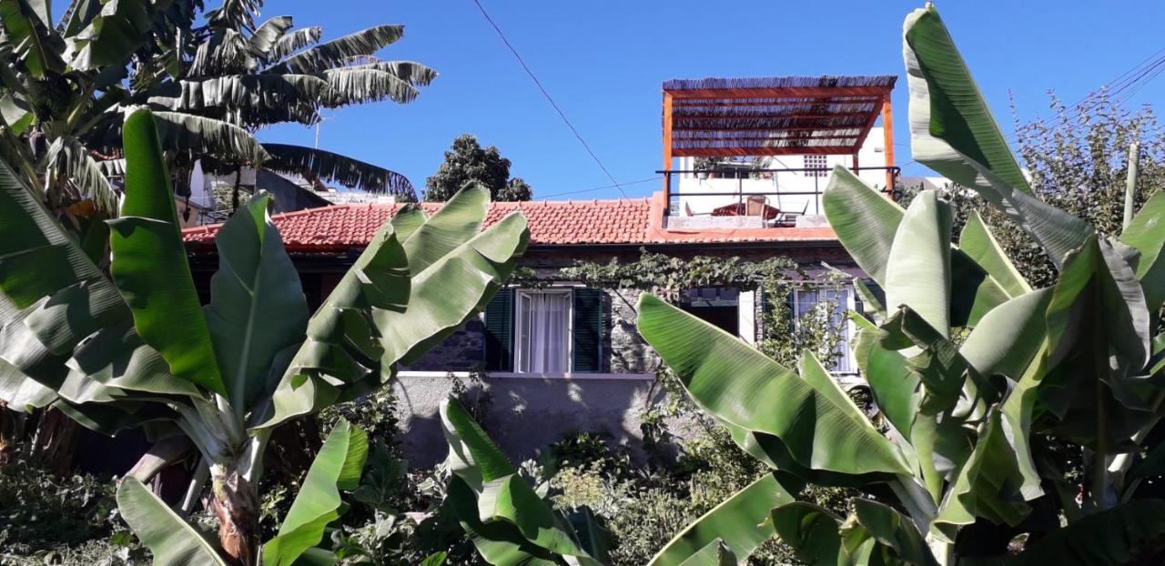 Louros House * Funchal (Madeira)