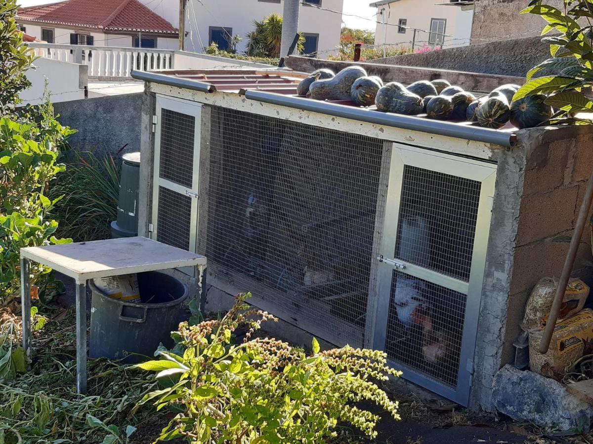 Holiday home Louros House Funchal (Madeira)