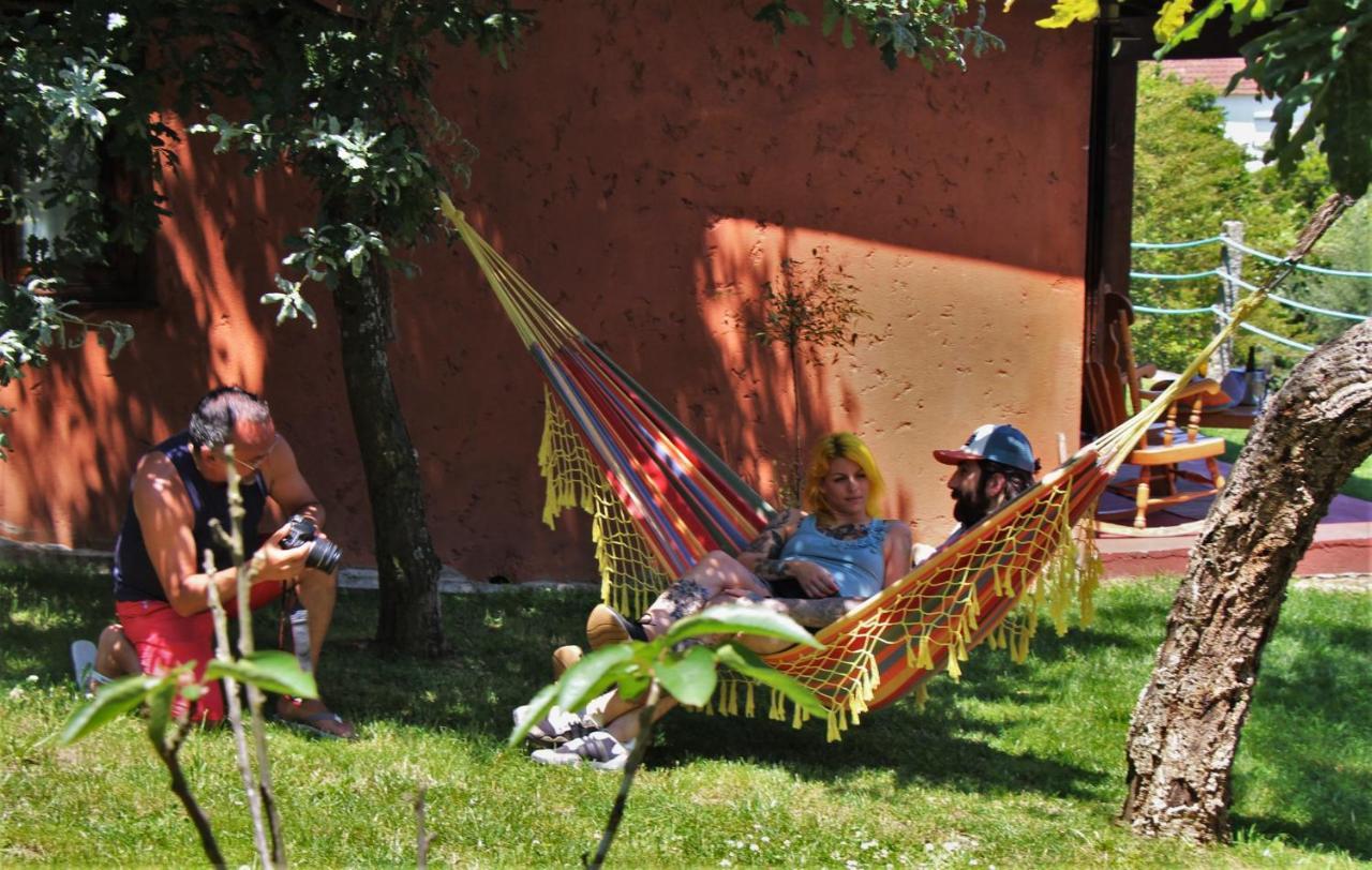 Farm stay Quintinha D'arga *