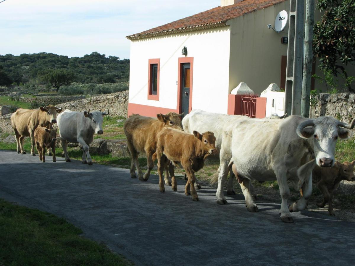 Holiday home Casas Da Estacao, Country Houses *