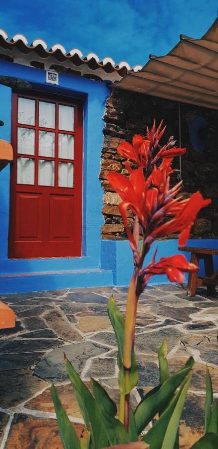 Quinta Do Sardanito De Tras Chácara