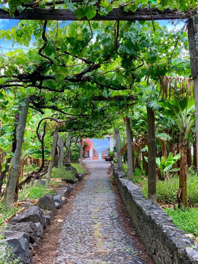 Faja Dos Padres Сasa de vacaciones Ribeira Brava