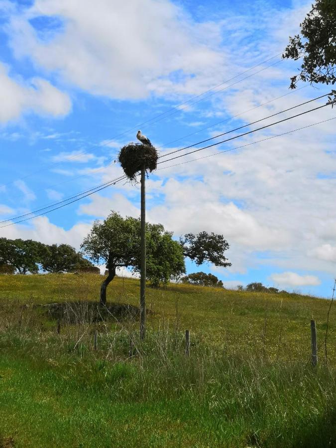 Refugio Do Bem Estar